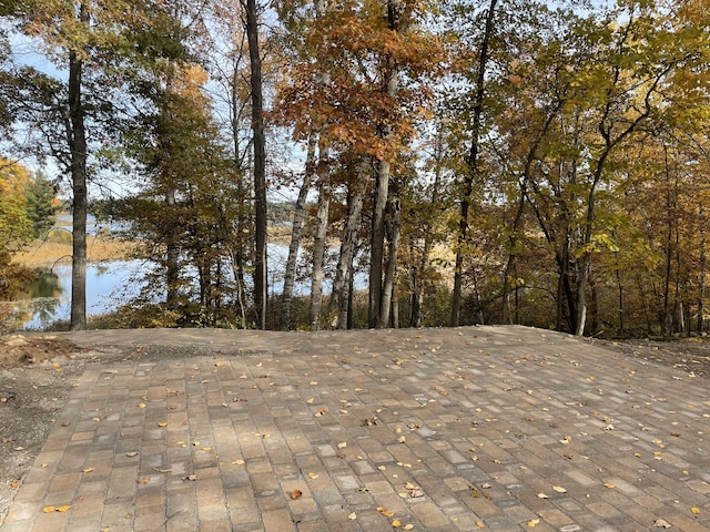 view of local wilderness featuring a water view