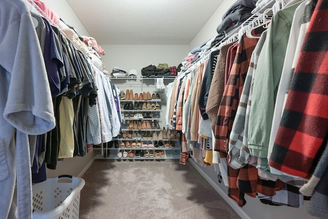 spacious closet featuring carpet flooring