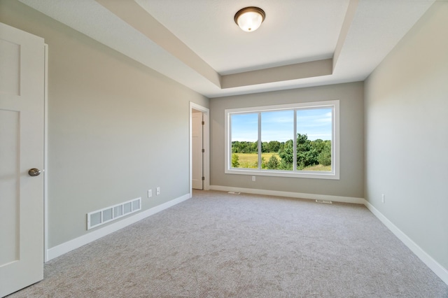 carpeted empty room with a raised ceiling