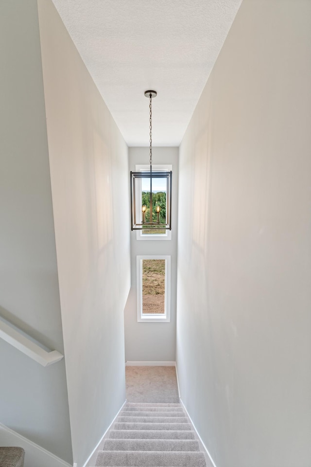 staircase featuring carpet flooring and a textured ceiling