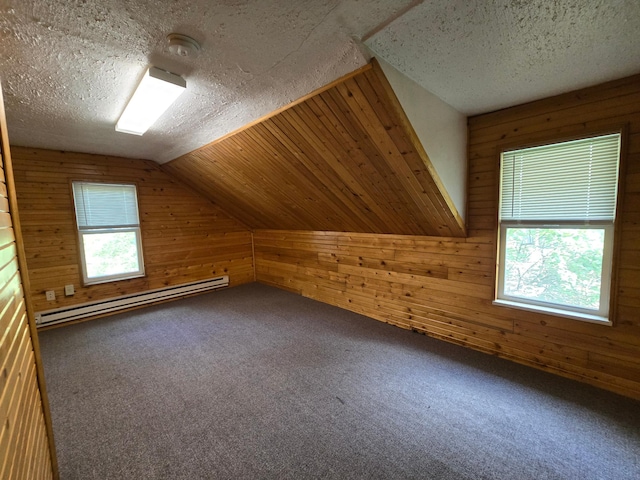 additional living space featuring a textured ceiling, baseboard heating, lofted ceiling, and plenty of natural light