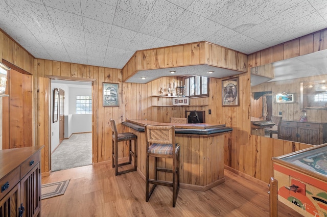 indoor dry bar featuring wood walls and light wood-type flooring