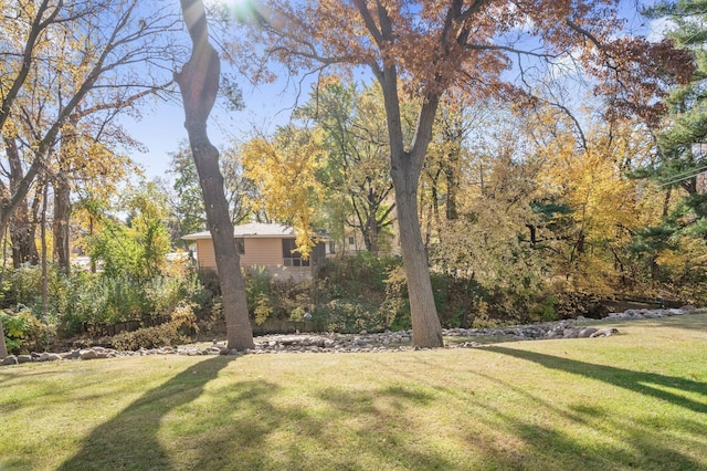 view of green lawn