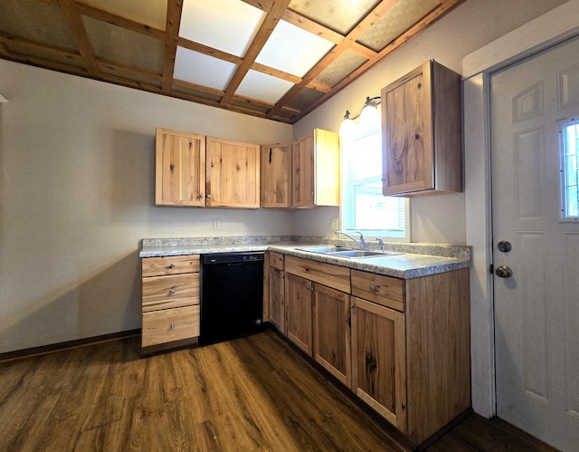 kitchen featuring dark wood-type flooring, black dishwasher, coffered ceiling, and sink