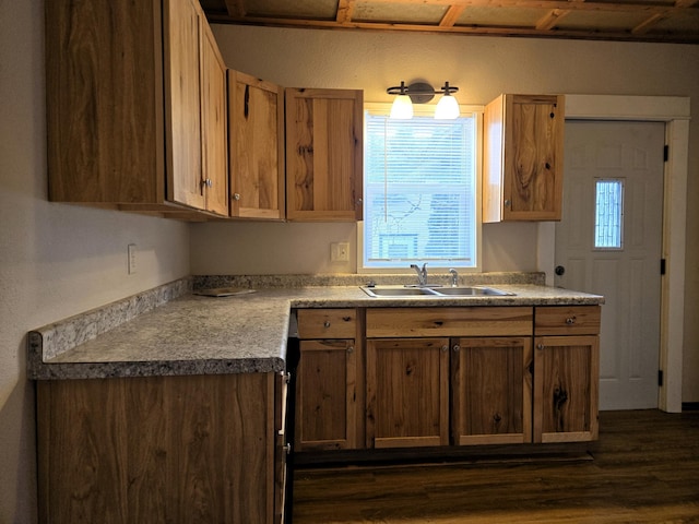 kitchen with sink and dark hardwood / wood-style flooring