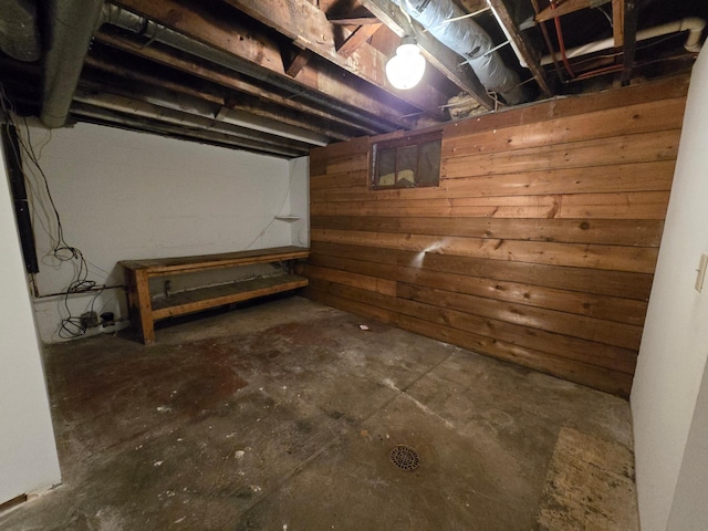 basement with wooden walls