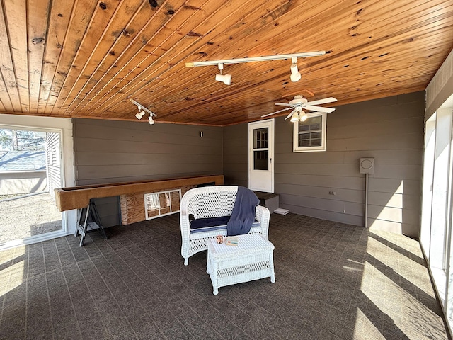 619 10th St, Montevideo, MN 56265 - sunroom / solarium featuring track lighting and ceiling fan