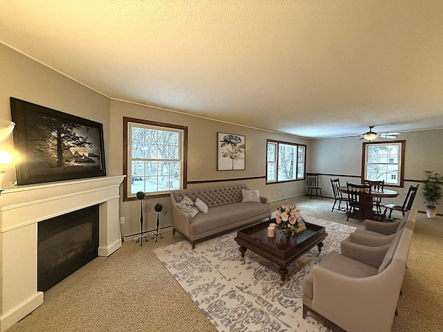 619 10th St, Montevideo, MN 56265 - living room with carpet flooring, a ceiling fan, a glass covered fireplace, a textured ceiling, and baseboards