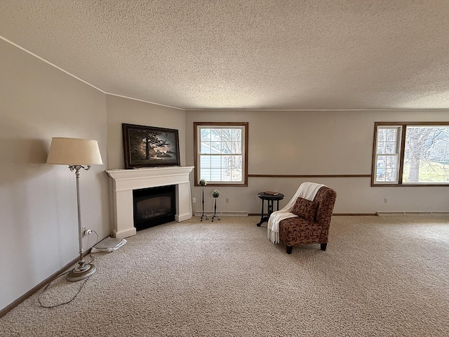 619 10th St, Montevideo, MN 56265 - sitting room featuring a textured ceiling, plenty of natural light, carpet, a fireplace, and baseboards