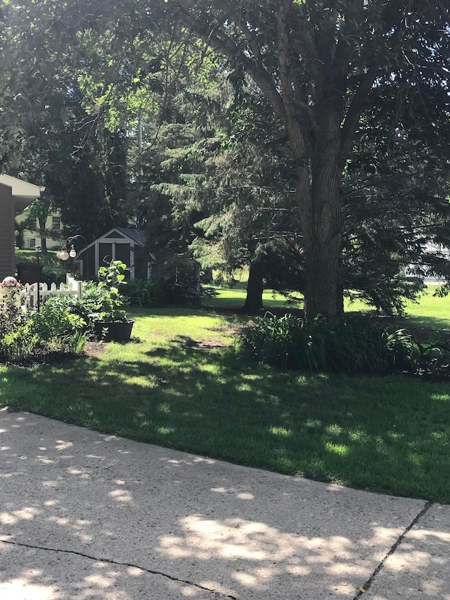 619 10th St, Montevideo, MN 56265 - view of green lawn
