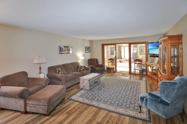 living room with a textured ceiling and hardwood / wood-style floors