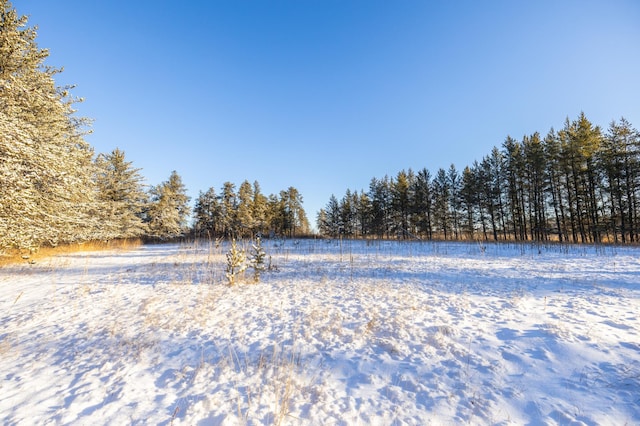 23790 360th St, Huntersville Twp, MN 56464 - view of yard