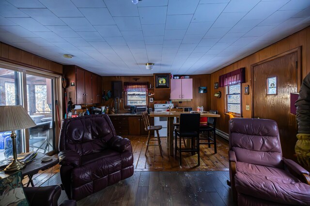 23790 360th St, Huntersville Twp, MN 56464 - living room with dark hardwood / wood-style floors and wood walls