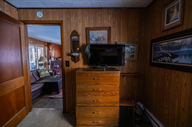 23790 360th St, Huntersville Twp, MN 56464 - carpeted bedroom featuring wood walls