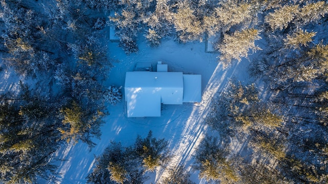 23790 360th St, Huntersville Twp, MN 56464 - birds eye view of property