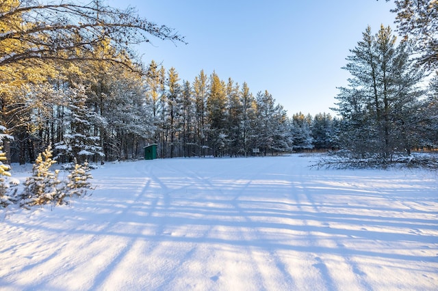 23790 360th St, Huntersville Twp, MN 56464 - view of yard covered in snow