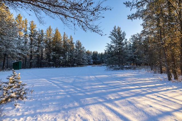 23790 360th St, Huntersville Twp, MN 56464 - view of yard layered in snow