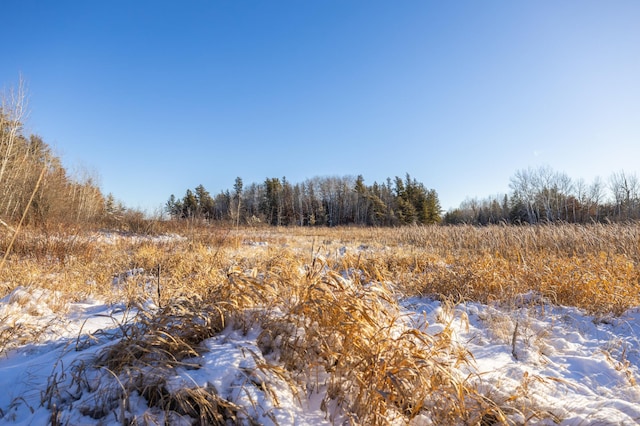 23790 360th St, Huntersville Twp, MN 56464 - view of local wilderness