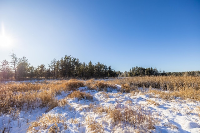 23790 360th St, Huntersville Twp, MN 56464 - view of nature