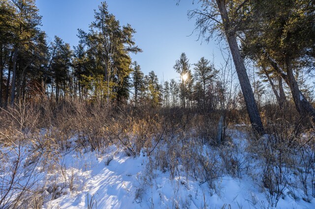 23790 360th St, Huntersville Twp, MN 56464 - view of nature