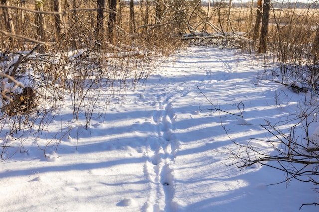 23790 360th St, Huntersville Twp, MN 56464 - view of yard layered in snow