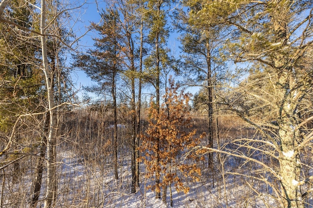 23790 360th St, Huntersville Twp, MN 56464 - view of nature