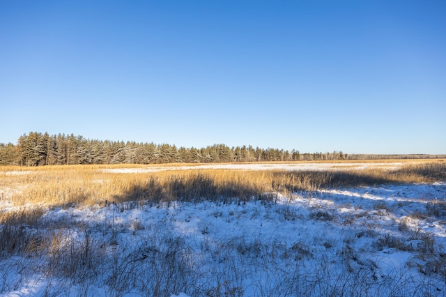 23790 360th St, Huntersville Twp, MN 56464 - view of nature featuring a rural view