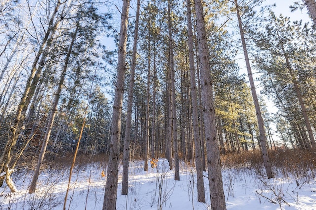 23790 360th St, Huntersville Twp, MN 56464 - view of snowy view