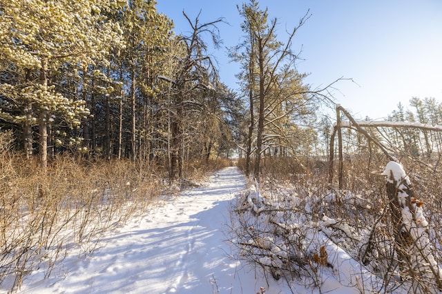 23790 360th St, Huntersville Twp, MN 56464 - view of road