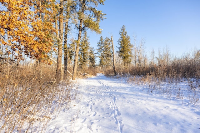 23790 360th St, Huntersville Twp, MN 56464 - view of local wilderness