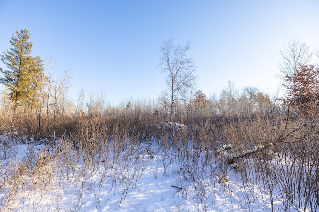 23790 360th St, Huntersville Twp, MN 56464 - view of landscape