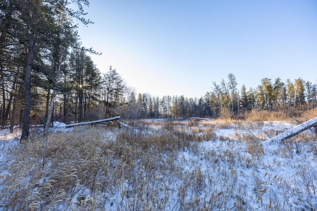 23790 360th St, Huntersville Twp, MN 56464 - view of local wilderness