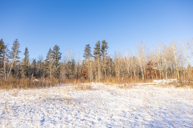 23790 360th St, Huntersville Twp, MN 56464 - view of local wilderness