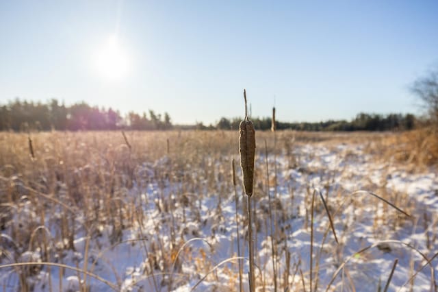23790 360th St, Huntersville Twp, MN 56464 - view of landscape with a rural view
