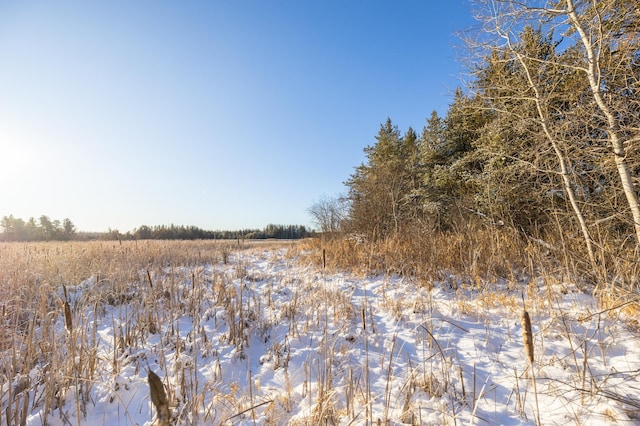 23790 360th St, Huntersville Twp, MN 56464 - snowy landscape with a rural view