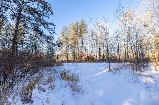 23790 360th St, Huntersville Twp, MN 56464 - view of yard covered in snow