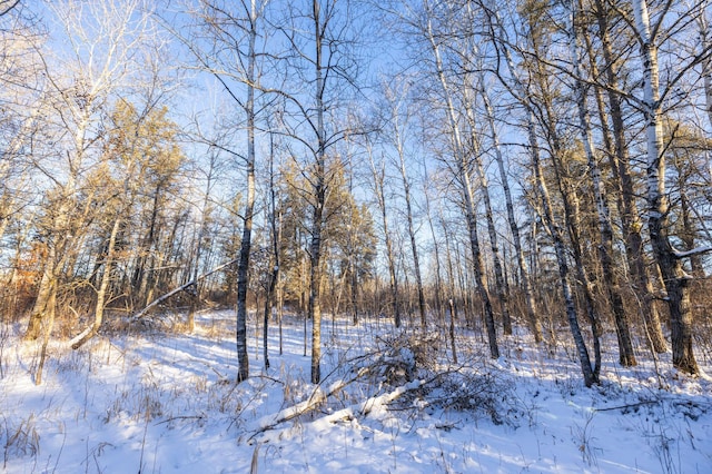 23790 360th St, Huntersville Twp, MN 56464 - view of snowy landscape