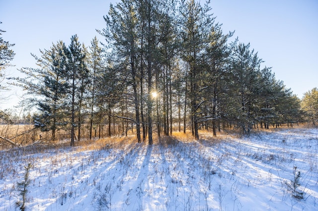 23790 360th St, Huntersville Twp, MN 56464 - view of local wilderness