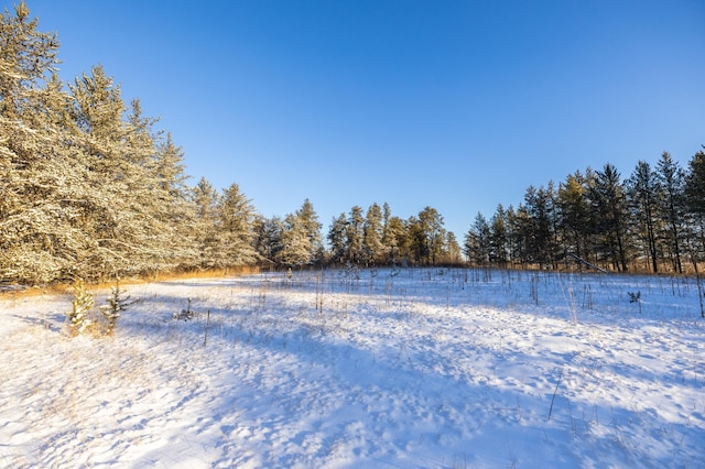 23790 360th St, Huntersville Twp, MN 56464 - view of yard with a rural view