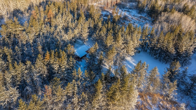 23790 360th St, Huntersville Twp, MN 56464 - bird's eye view