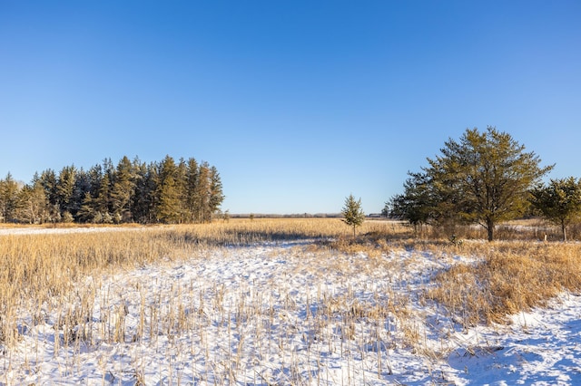 23790 360th St, Huntersville Twp, MN 56464 - view of landscape with a rural view
