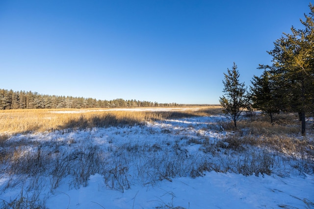 23790 360th St, Huntersville Twp, MN 56464 - view of nature