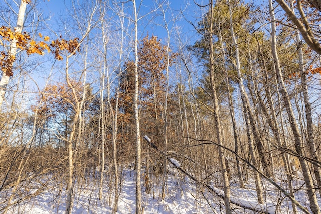 23790 360th St, Huntersville Twp, MN 56464 - view of nature