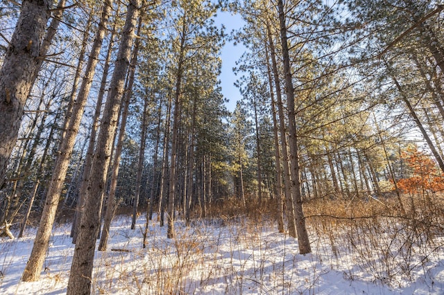 23790 360th St, Huntersville Twp, MN 56464 - view of snow covered land