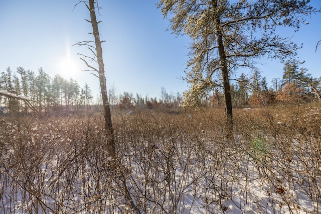 23790 360th St, Huntersville Twp, MN 56464 - view of local wilderness