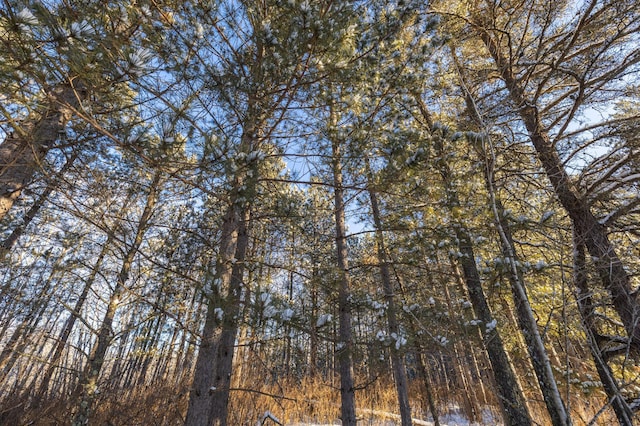 23790 360th St, Huntersville Twp, MN 56464 - view of landscape