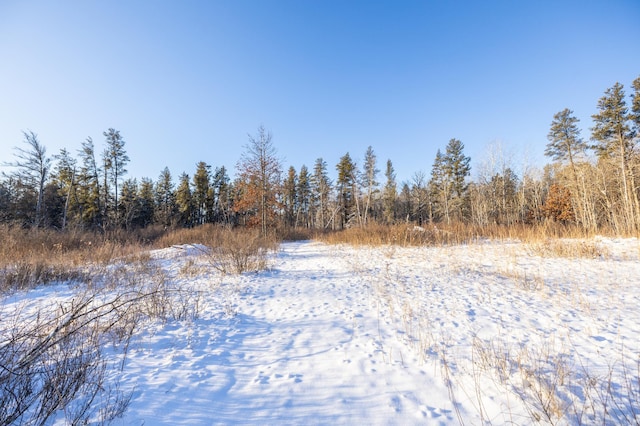 23790 360th St, Huntersville Twp, MN 56464 - view of local wilderness