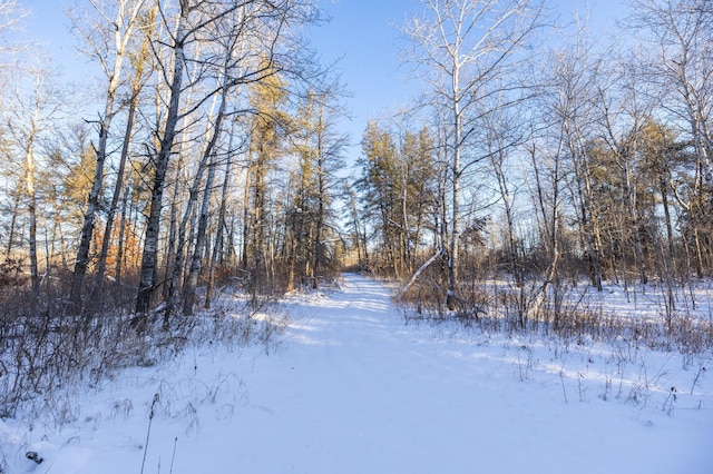 23790 360th St, Huntersville Twp, MN 56464 - view of snowy yard