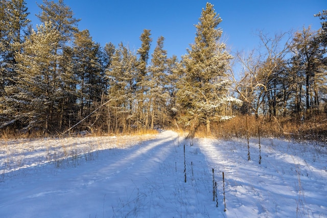 23790 360th St, Huntersville Twp, MN 56464 - view of road