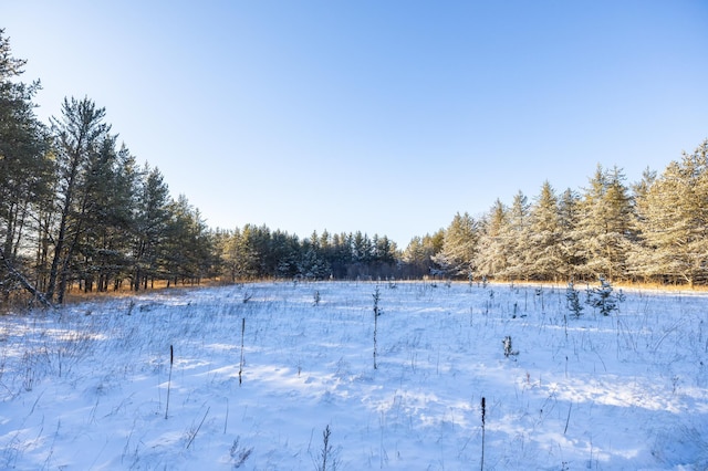 23790 360th St, Huntersville Twp, MN 56464 - view of yard layered in snow